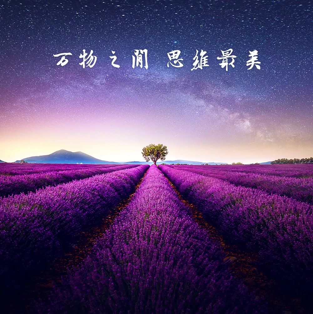 復雜與認知之美：查理芒格的100個思維模型