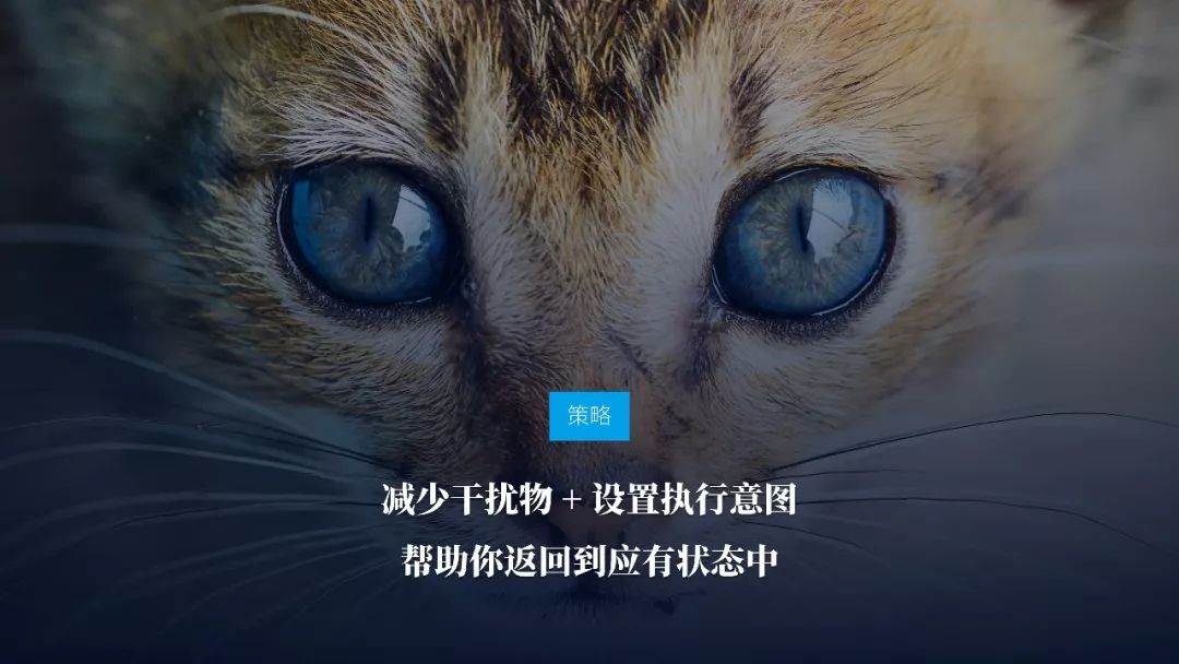 《戰勝拖延癥》PPT版讀書筆記