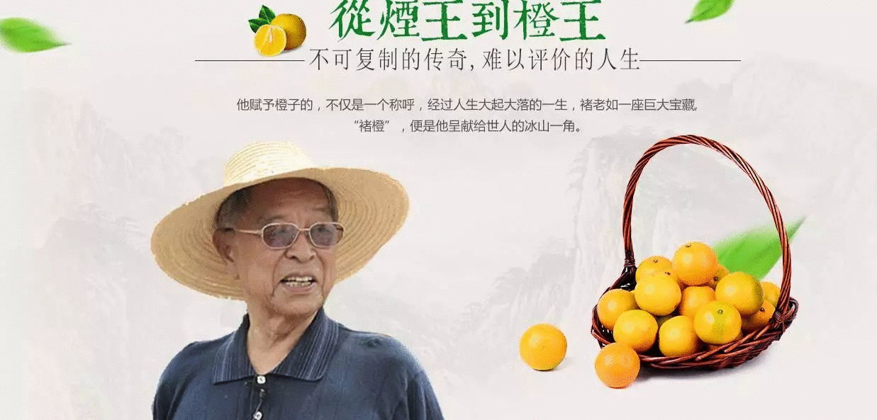 品牌命名八大框架性原則：起個人見人愛的名字?