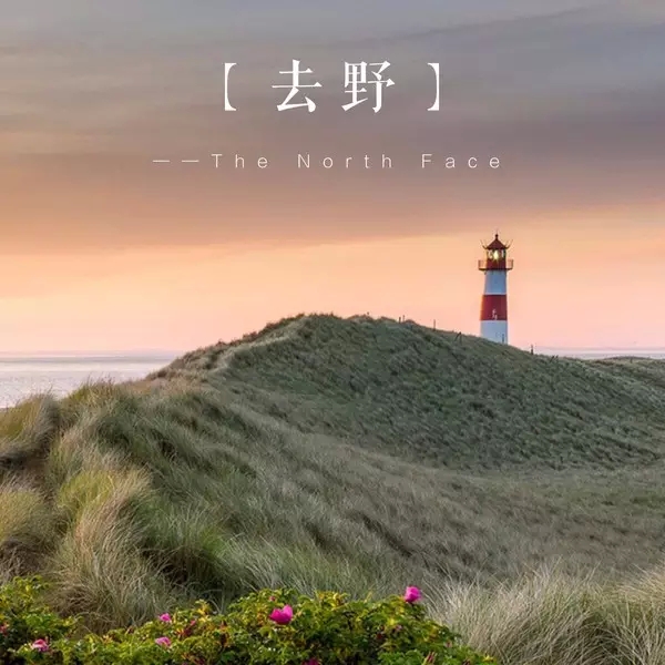 為什么這些廣告語卻植入了你的內心？