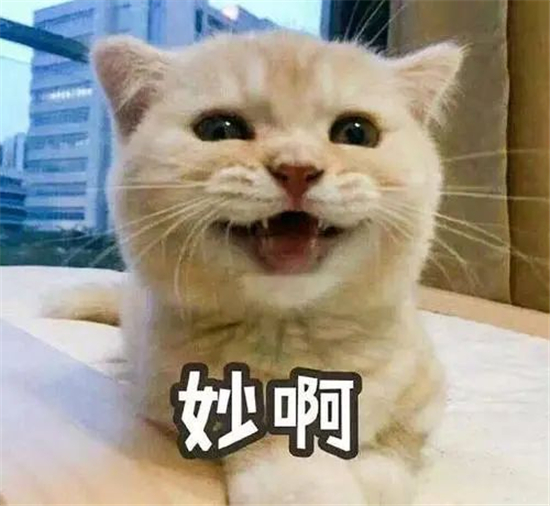 “雙關語”文案不止帶貨，還帶來別樣的趣味