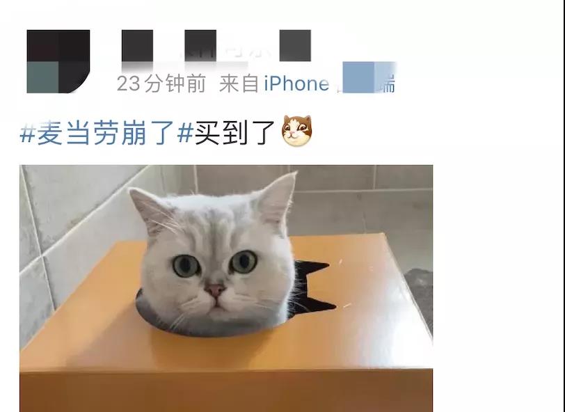 麥當勞貓窩的品牌營銷創新思考 - 第7張