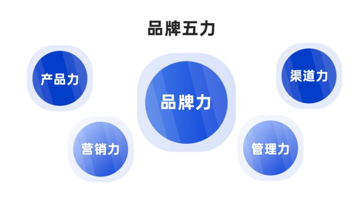 品類賦能品牌定位 VS 品牌五力模型