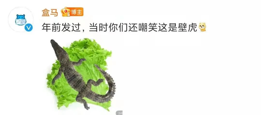 3.15滿分公關、盒馬鱷魚復活？冬奧會“福氣森林”...2022上半年十大爆款營銷營銷事件盤點