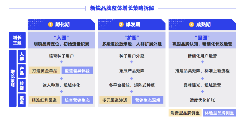 ?一文講透：新銳品牌如何增長