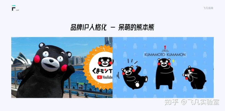 互聯網IP設計指南
