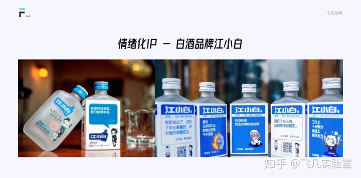 互聯網IP設計指南