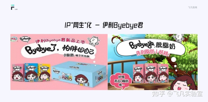 互聯網IP設計指南