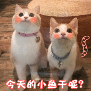 為什么老客戶不來了?從品牌,營銷,用戶角度如何解決