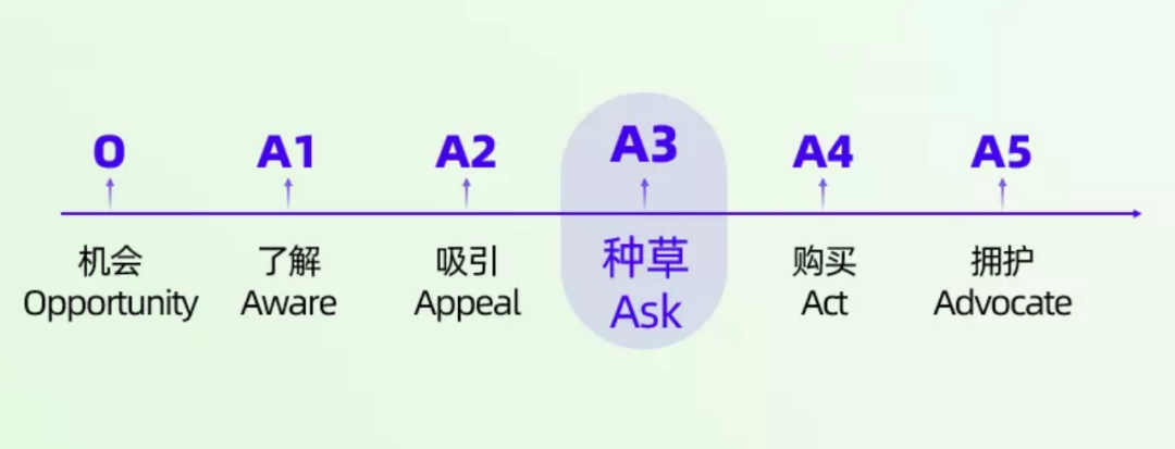 小紅書抖音種草
