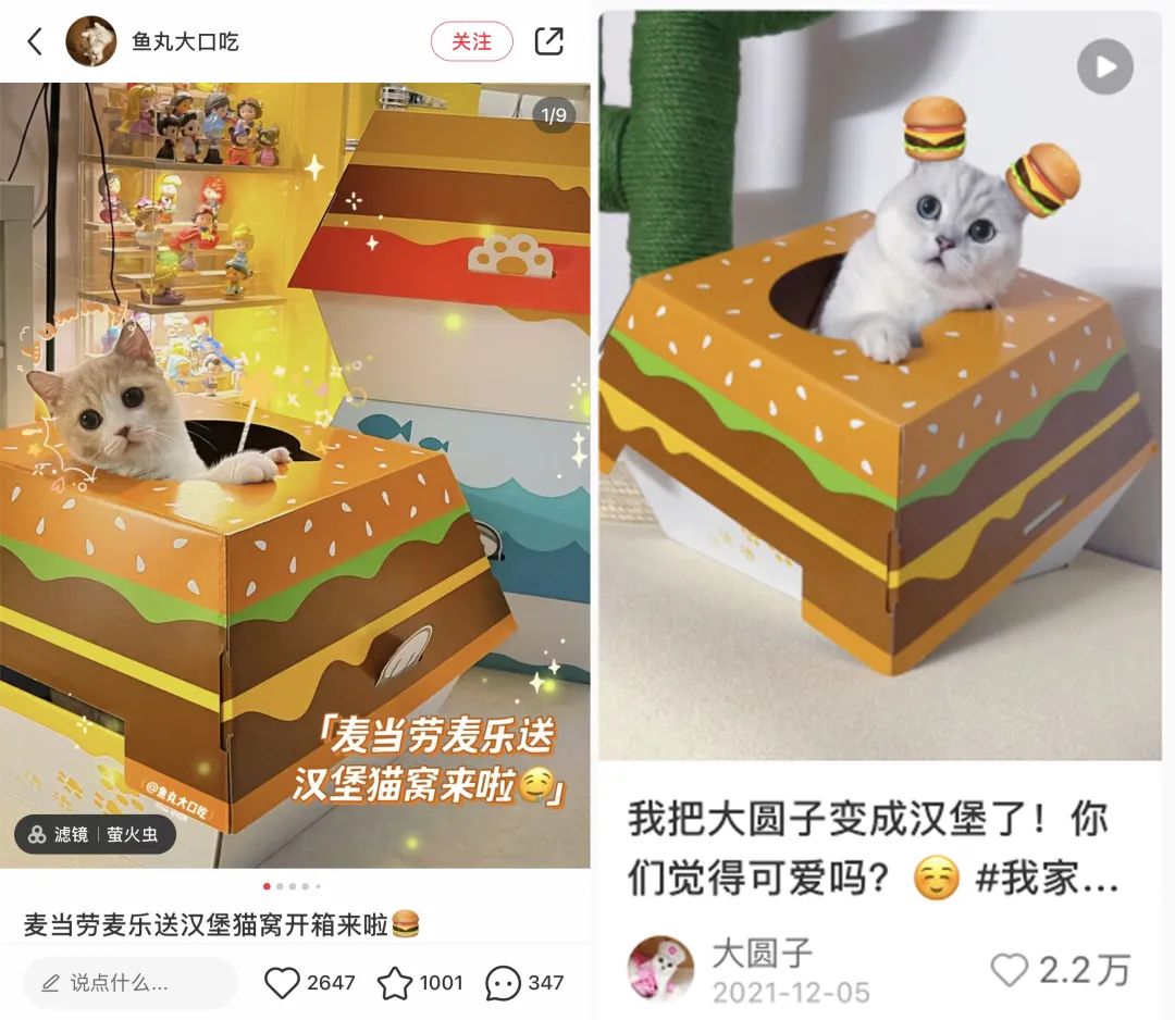 6年做到品類第一！高熱寵物用品賽道來看pidan怎么做小紅書投放布局？