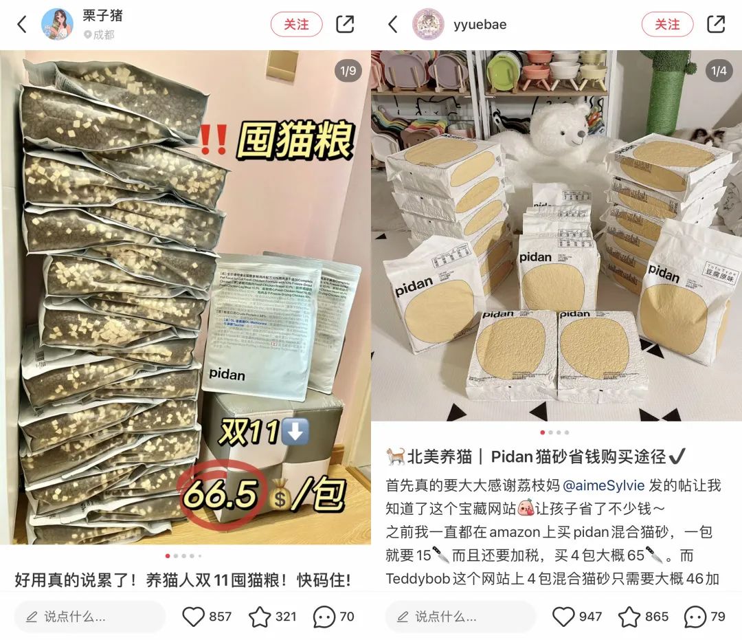 6年做到品類第一！高熱寵物用品賽道來看pidan怎么做小紅書投放布局？