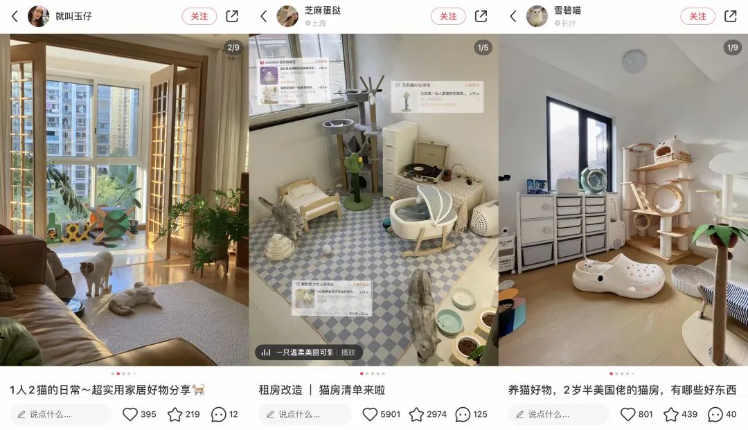 6年做到品類第一！高熱寵物用品賽道來看pidan怎么做小紅書投放布局？
