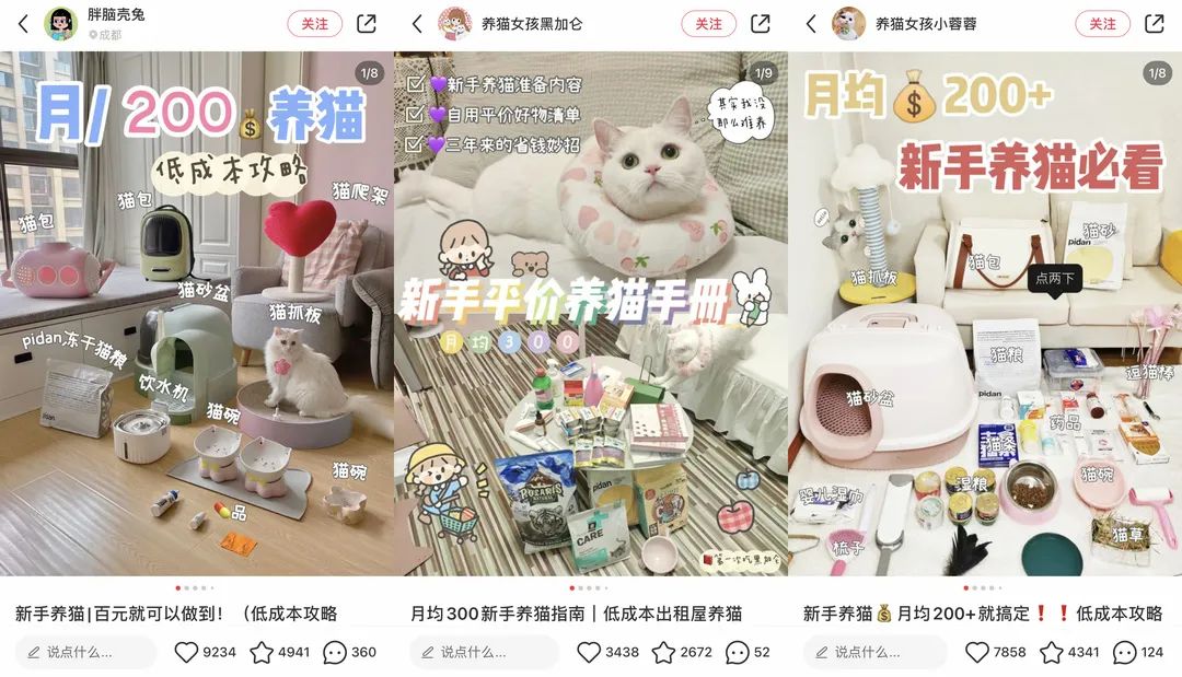 6年做到品類第一！高熱寵物用品賽道來看pidan怎么做小紅書投放布局？