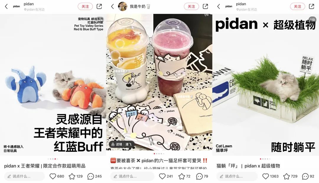 6年做到品類第一！高熱寵物用品賽道來看pidan怎么做小紅書投放布局？