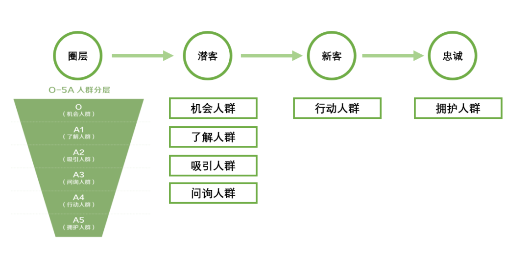 新消費做品牌不要忘了基礎概率