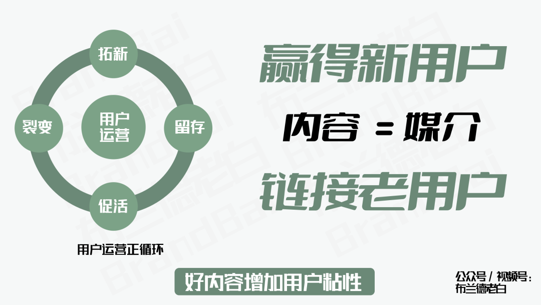 紅海突圍 | 好內容驅動品牌新增長
