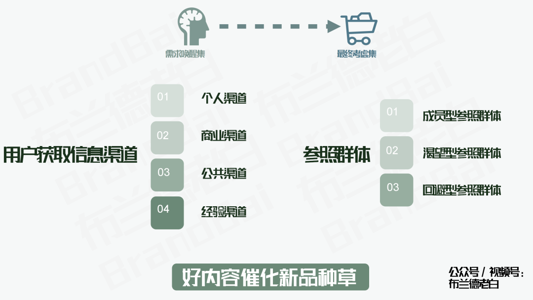 紅海突圍 | 好內容驅動品牌新增長