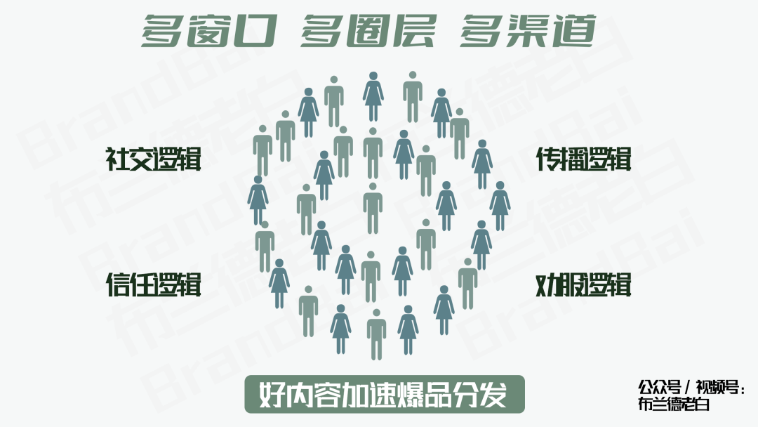 紅海突圍 | 好內容驅動品牌新增長