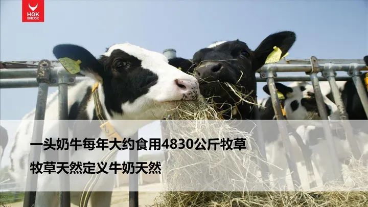 熊貓羅盤十大營銷方法論：講故事