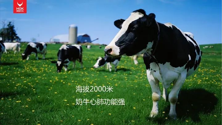 熊貓羅盤十大營銷方法論：講故事