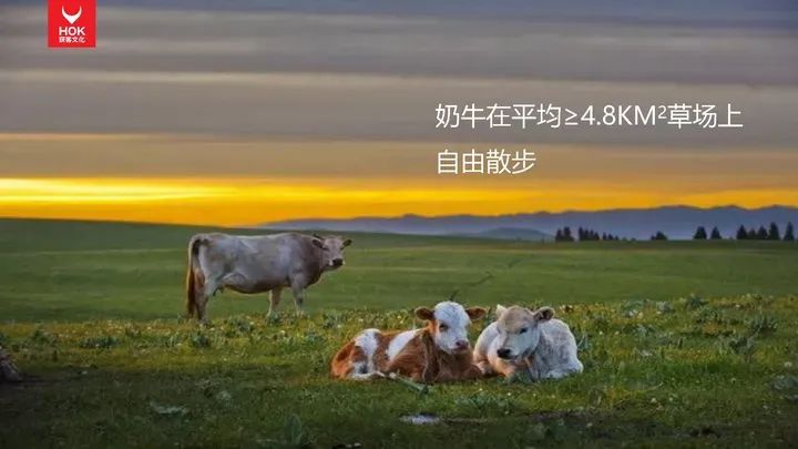 熊貓羅盤十大營銷方法論：講故事