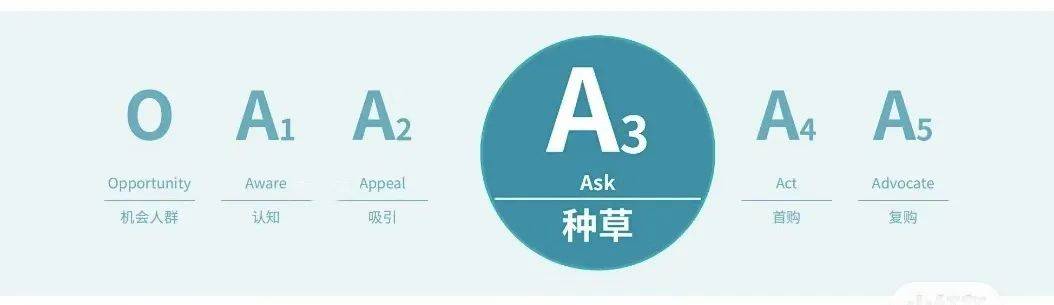 “種草主場”之爭，抖、紅究竟有啥區別？
