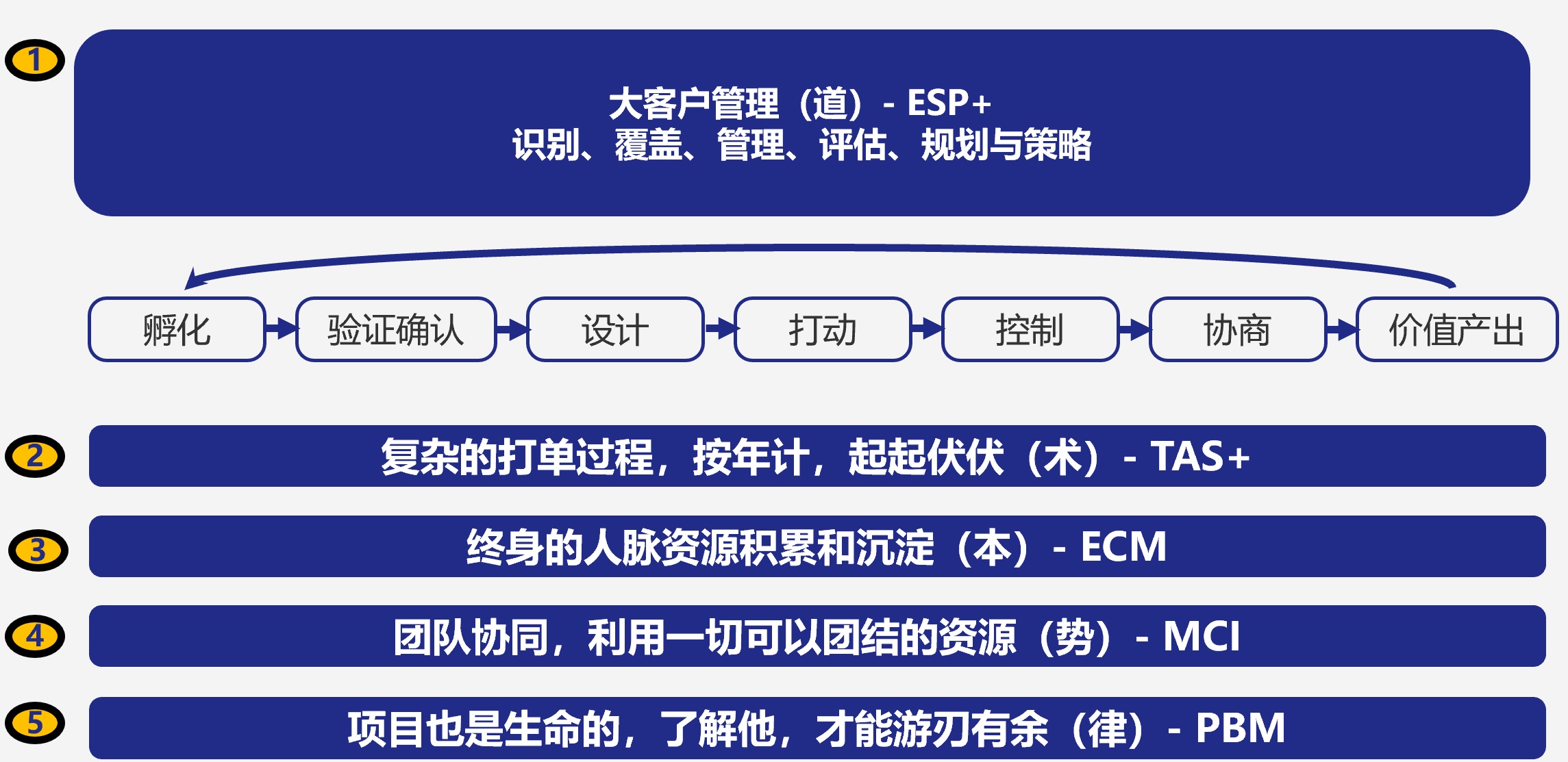 數字化時代大客戶銷售的成長之旅——五大管理能力