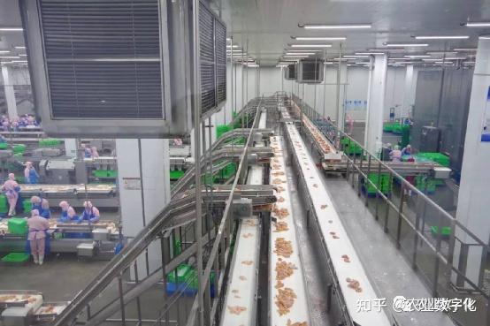 數字農業領域,GPT大模型有這三個機會點