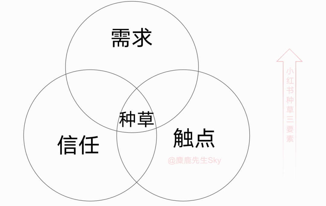 小紅書種草