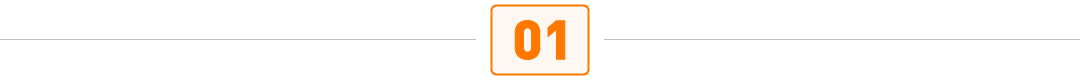 小紅書雙11
