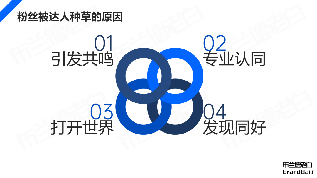 萬字解析 | 品牌在抖音破圈到收割的完整閉環