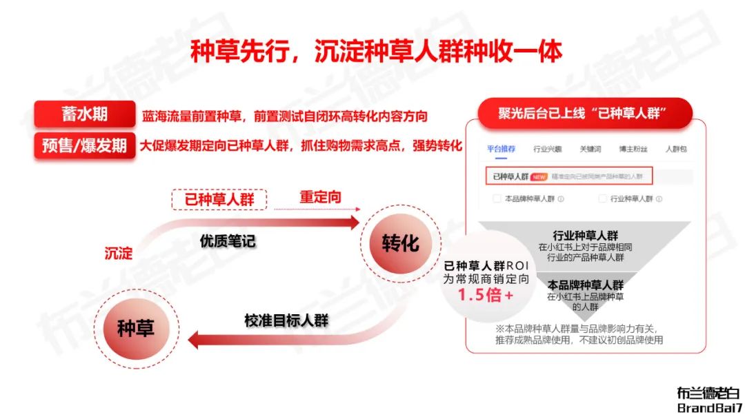 小紅書電商