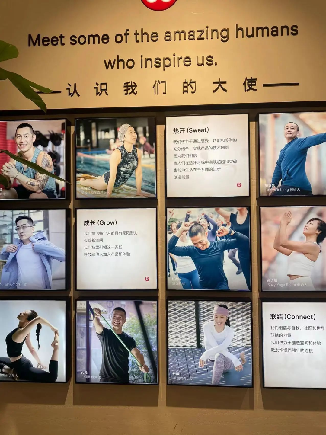 百億美元的信仰生意，lululemon的全域經營啟示錄丨全域研究