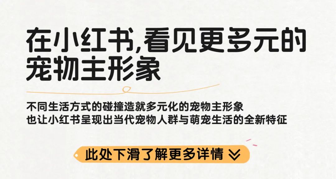 小紅書寵物行業
