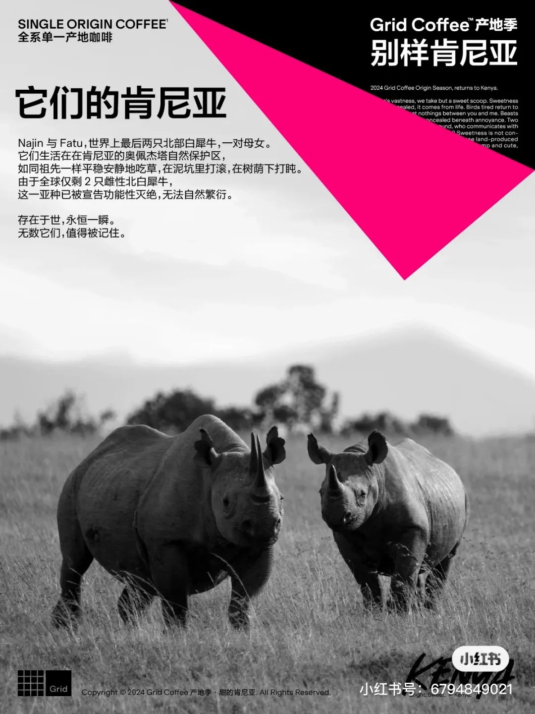 品牌做內容營銷