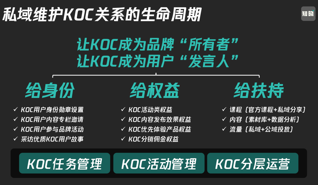 KOC全域經營